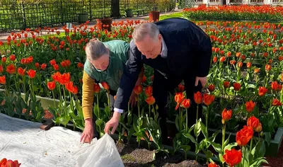 СОЮЗ\" побывал на уникальной зимней выставке тюльпанов - Российская газета