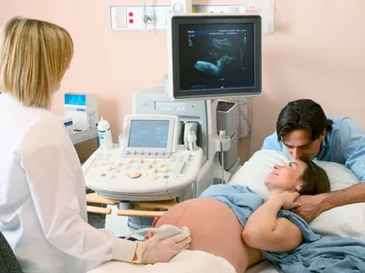 УЗИ плода при беременности: все о процедуре - Херсон Daily