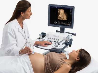 Сделать УЗИ на 2 недели беременности - Цена в клинике