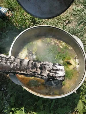 Настоящая рыбацкая уха с водкой и поленом (на костре или плите ) | КЛУБ  ОДЕССКИХ РЫБАКОВ - FISHHUNTER - odessafishing.club