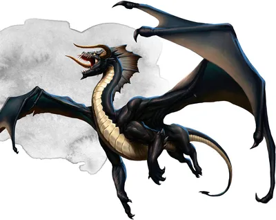 Вирмлинг чёрного дракона (Black Dragon Wyrmling) | Существа | Инструменты  мастера D\u0026D