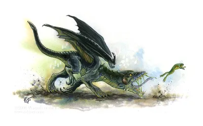 Вирмлинг чёрного дракона (Black Dragon Wyrmling) | Существа | Инструменты  мастера D\u0026D