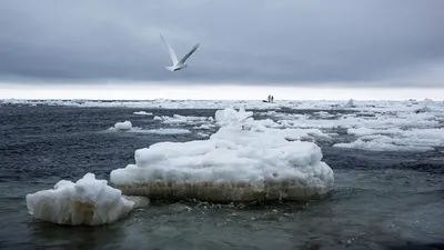 Черного моря зимой фото