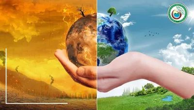 Проблемы экологии. Как не довести планету до катастрофы