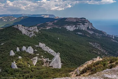 Запретные места Южного Берега Крыма. Зачем брать с собой паспорт? | НЕ  ФОТОГРАФ | Дзен