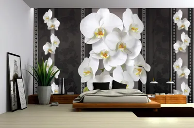 Фотообои орхидеи в интерьере фото
