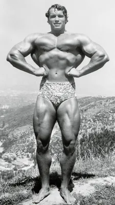 Арнольд Шварценеггер (Arnold Schwarzenegger) Арнольд Шварцнеггер, Арнольд  Шварцнегер,, фотографии, биография, соревнования, бодибилдинг