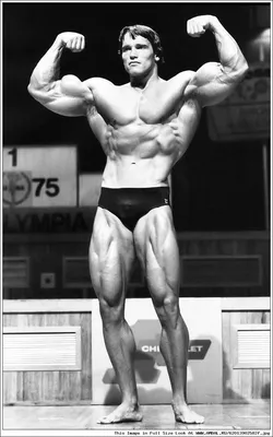 Прав ли Арнольд Шварценеггер в том, что для роста мышц необходимо их  шокировать? Отвечаю | | Алексей Шредер | FAN | Пульс Mail.ru