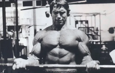 Арнольд Шварценеггер (Arnold Schwarzenegger), фотографии, биография,  соревнования, бодибилдинг