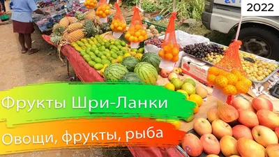 Чай черный Принцесса Нури Золото Шри-Ланки/Экзотические фрукты, 2 шт —  купить в интернет-магазине OZON с быстрой доставкой