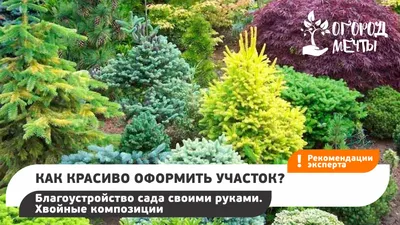 Как красиво оформить участок? Благоустройство сада своими руками. Хвойные  композиции смотреть онлайн видео от Огород мечты! в хорошем качестве.