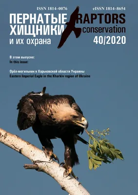 Raptors Conservation 40/2020 by Igor Karyakin - Issuu