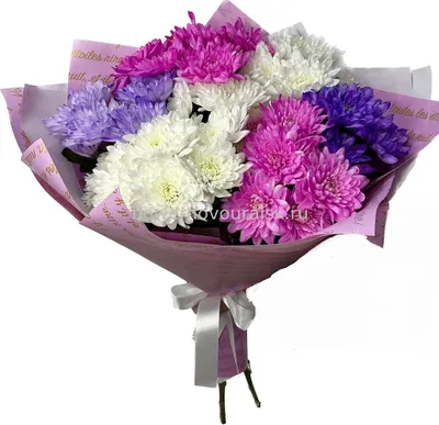 Хризантема одноголовая розовая - Купить с доставкой по цене 22 000 сум |  Хризантема одноголовая розовая в интернет-магазине «Ultra Flowers»