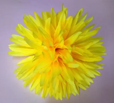 Хризантема игольчатая/жёлтый 14 см - купить оптом и в розницу