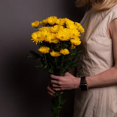 Хризантема - кустовая желтая - Цветы Онлайн