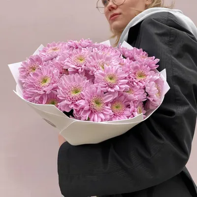 Букет лиловых хризантем «Оптимист», Цветы и подарки в Сочи, купить по цене  2890 руб, Монобукеты в Зелень с доставкой | FlowWoW