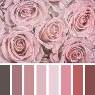 Модные оттенки цвета пыльной розы в оформлении домашнего интерьера | Журнал  Ярмарки Мастеров