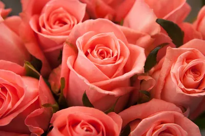 Декоративная занавеска для душа с цветами, розовая роза, Бабочка, каменные  колонны, старая архитектура, ретро мраморный фон, тканевая занавеска для  ванной s - купить по выгодной цене | AliExpress