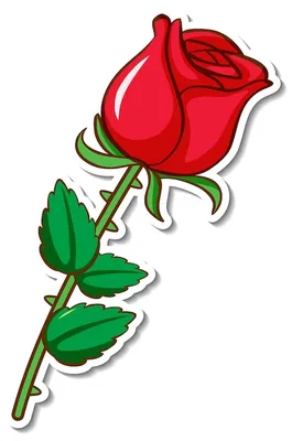 Молния «Трактор», Т10, разъёмная, 75 см, цвет старая роза №025 розового  цвета - Артикул - СМЛ0004774016 - оптом купить в Уфе по недорогой цене в  интернет-магазине Стартекс