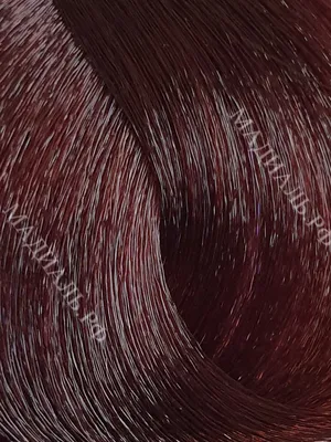 KAPOUS STUDIO Крем-краска для волос 4.5 Тёмный махагон, 100 мл – купить за  210 руб | МАДИАЛЬ - профессиональные товары для красоты