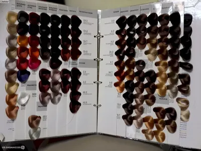 Палитра цветов краски для волос (32 лучших фото)