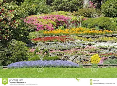 Multicolor кровати цветка на горном склоне Стоковое Изображение -  изображение насчитывающей завод, италия: 26410113