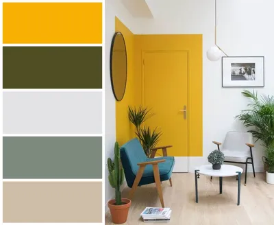 Как выбрать краску для стен в квартире - как найти лучший состав для  окрашивания, советы, виды, цвета