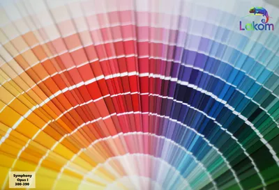 Цветовая палитра красок для стен - 62 фото