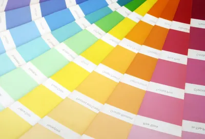 Цветовая палитра красок для стен - 62 фото