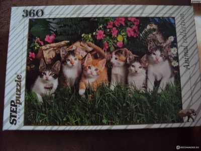Step Puzzle-360 Веселая семейка - «6 милых котят. Подойдёт и взрослым и  дошкольникам. Собирали всей семьёй. Прекрасное занятие!» | отзывы