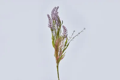 Купить Искусственный цветок Донник полевой с доставкой по выгодной цене в  интернет магазине Hoff.ru. Характеристики, фото и отзывы.