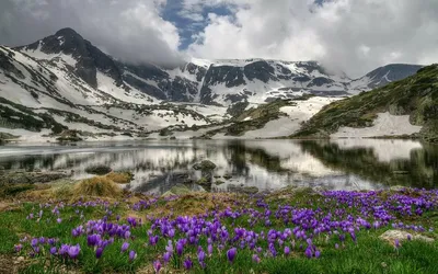 Горный Алтай весной - 72 фото