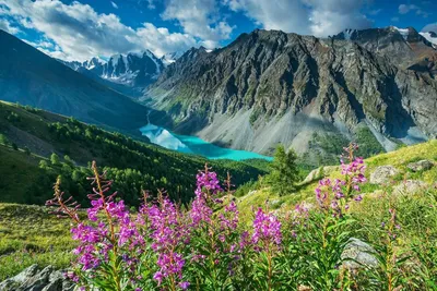 Туры на Алтай – путешествие на другую планету | Natural landmarks,  Beautiful landscapes, Beautiful nature