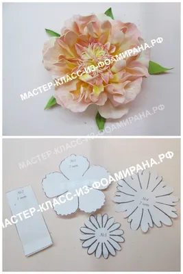 Выкройка розы из фоамирана (шаблоны цветка и лепестков) | Paper flower  video, Paper flowers, Paper flower art