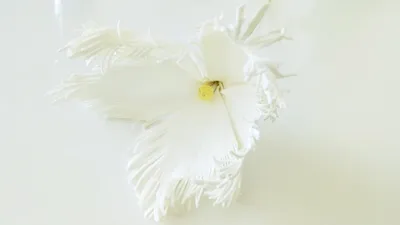 Экзотические цветы из фоамирана: мастер-класс | Рукоделие hand made | Дзен