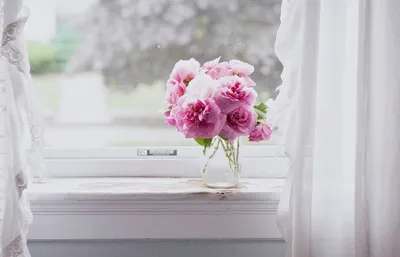 Розовые цветы в вазе на окне | Обои для телефона