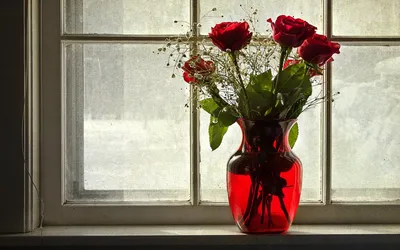 Красивые цветы на деревянном столе возле окна :: Стоковая фотография ::  Pixel-Shot Studio