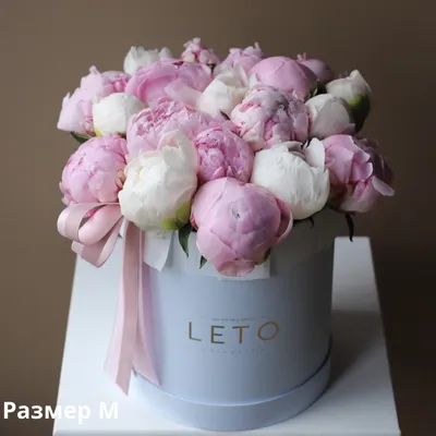 Букет из белых и розовых пионов в шляпной коробке - заказать доставку цветов  в Москве от Leto Flowers