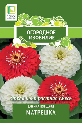 Семена цветов Поиск цинния изящная Матрешка в Наро-Фоминске – купить по  низкой цене в интернет-магазине Леруа Мерлен