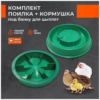 Как сделать кормушку для цыплят своими руками в домашних условиях — купить  по низкой цене на Яндекс Маркете