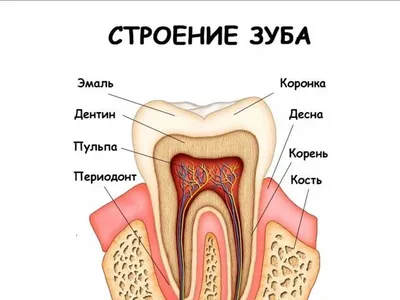 Виды зубной боли