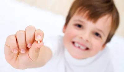 Замена молочных зубов на постоянные: на что обратить внимание родителям |  Частная практика Ирины Зайцевой