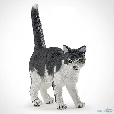 красивый черно-белый кот с зелеными глазами | Gato blanco y negro, Gatos  anaranjados, Gatos blancos