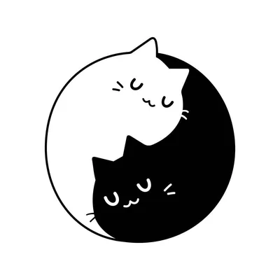 Мейн кун черно белый котенок - картинки и фото koshka.top