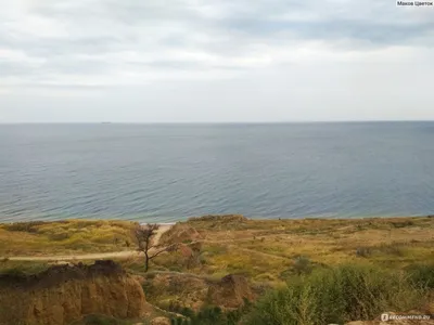 Украина Одесская область город Черноморск / Ильичёвск - «Я и не знала, что  Чёрное море может быть таким красивым! 5 км пляжа, чистого пляжа!  Черноморский отдых подходит даже для самоизоляции!» | отзывы