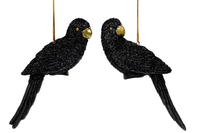 Декоративная подвесная фигурка Попугай, 15.5см, 2 вида, цвет - чёрный с  глиттером, в упаковке 8шт. (823-403), цена 1208 грн — Prom.ua  (ID#1255593241)