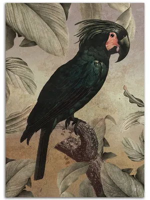 Картина на стену на холсте \"Черный попугай\" 60x80 см Styler 13463780 купить  за 2 616 ₽ в интернет-магазине Wildberries