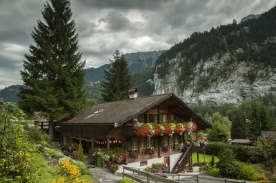 Шале в горах Швейцарии - 68 фото