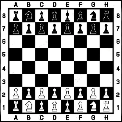 Шахматное поле из микрогофры, без фигур 40 * 40 см — купить в  интернет-магазине OZON с быстрой доставкой