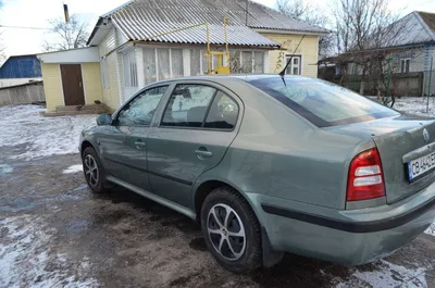 Купить дефлектор капота Skoda Octavia A4 96-10 (Vip Tuning), мухобойка на  капот - цена в Украине